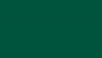 темно-зеленый (RAL6005)